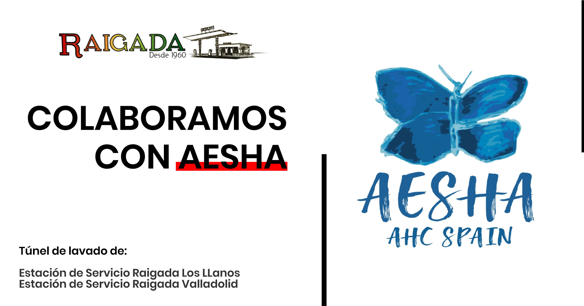 Colaboramos con AESHA